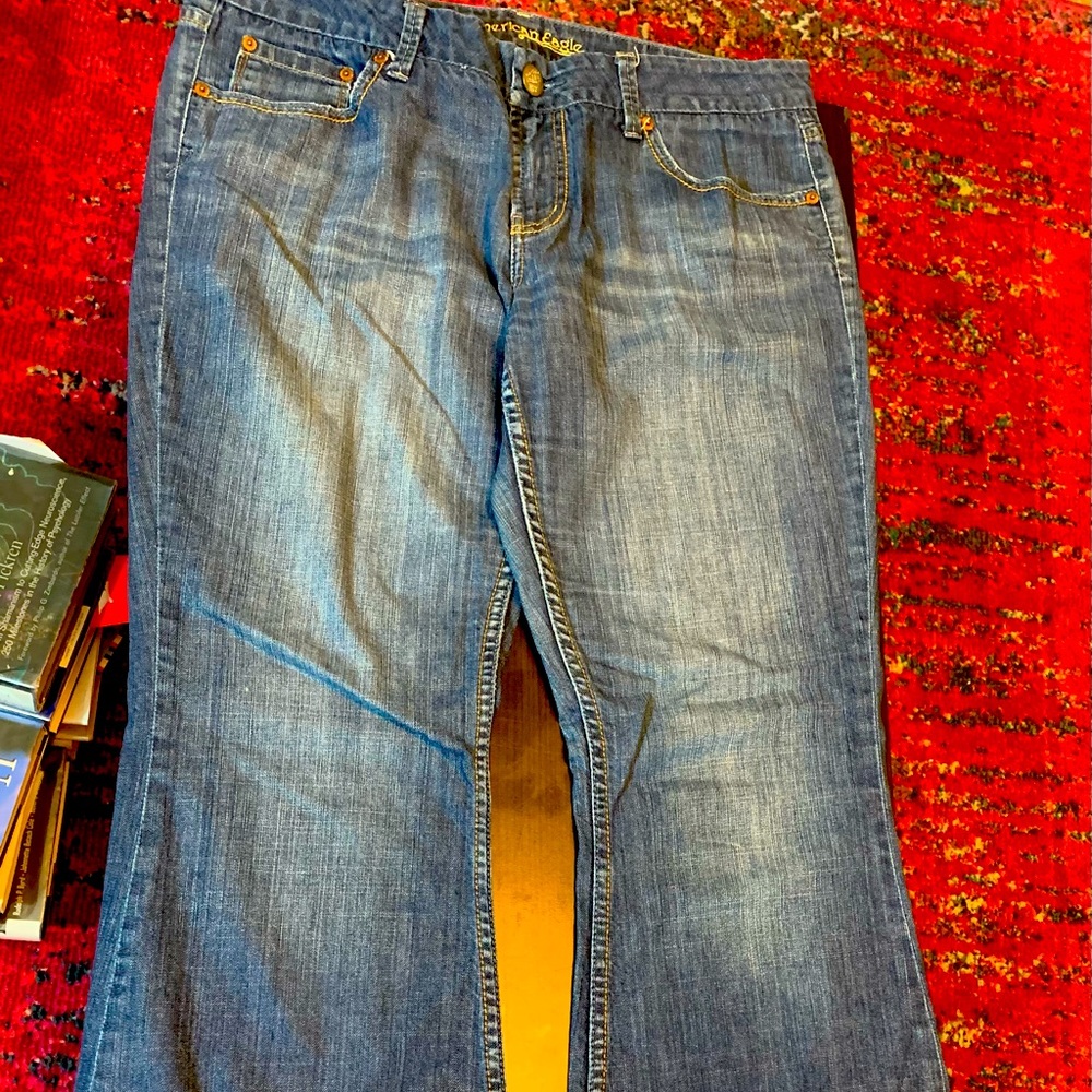 American Eagle Jeans 12 regular flare